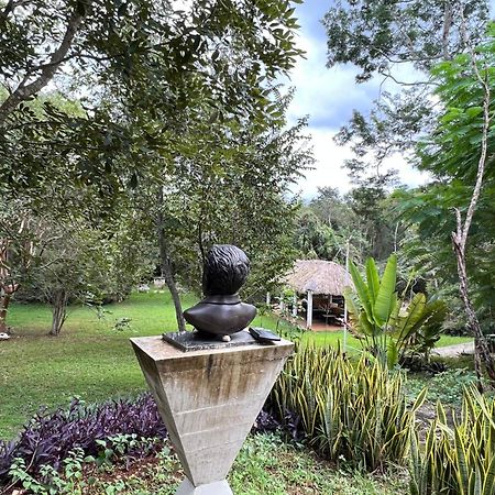 El Encanto Villas - Ecofriendly 20 min away from Chichén-Itzá Esterno foto