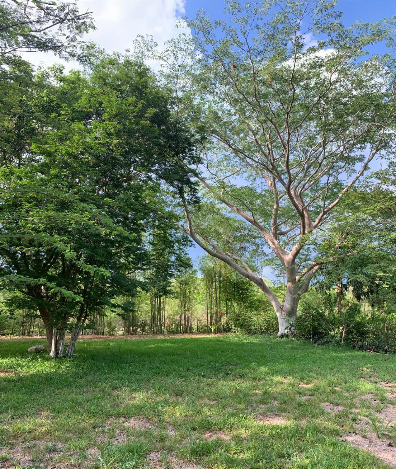 El Encanto Villas - Ecofriendly 20 min away from Chichén-Itzá Esterno foto