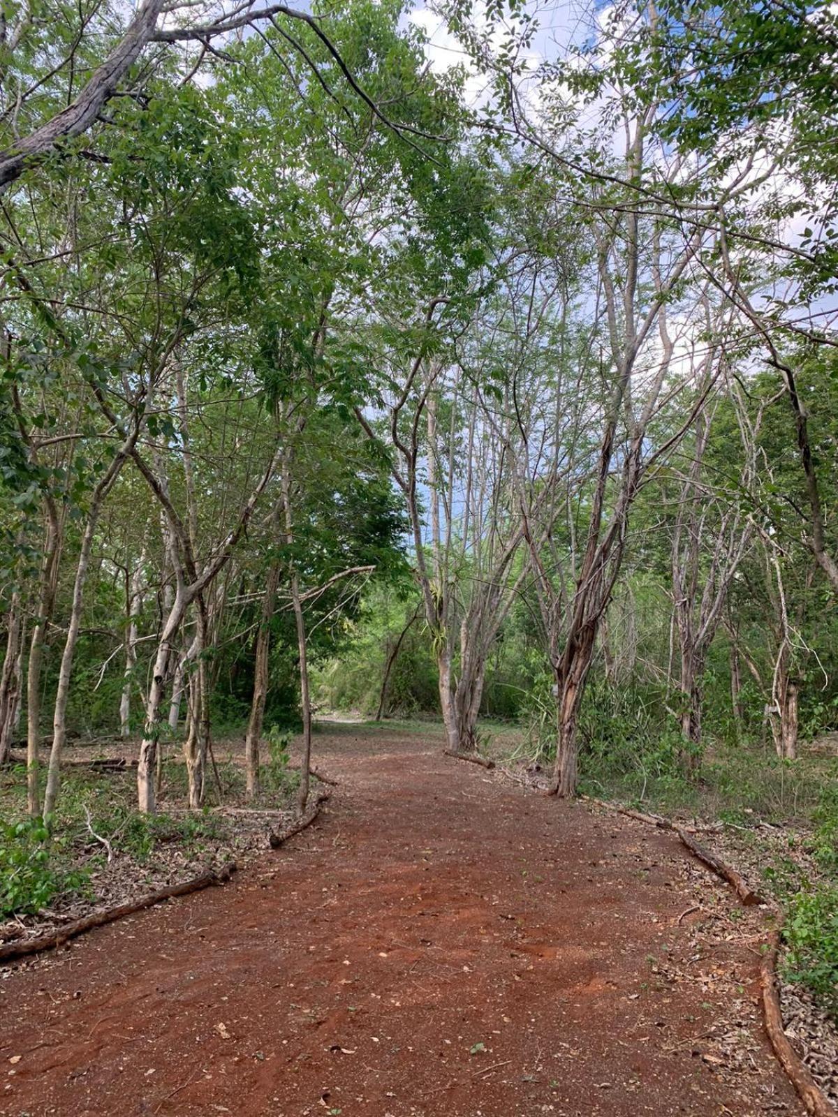 El Encanto Villas - Ecofriendly 20 min away from Chichén-Itzá Esterno foto